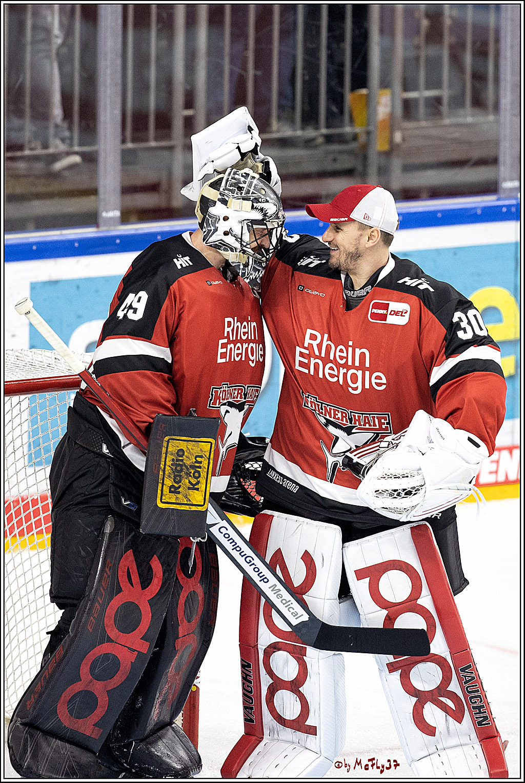 PENNY DEL;  Koelner Haie - Krefeld Pinguine; Koeln, 31.10.2021